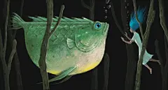 点击来源直接获取大图文件 |Fantasy art , Animal conceptual artwork, woman with giant fish, surreal painting, 3d illustration dream and imagination concept, mystery of nature