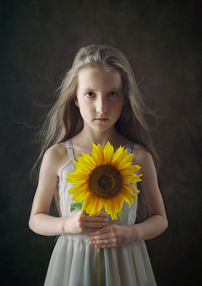 Sunflower by Danica ...