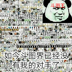 39023如今斗图界已经没有我的对手了 斗图 表情包 花瓣搜索【关键字+飞天胖虎】可以找到系列表情包