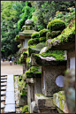 简植的相册-苔藓在日本
