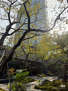 o萌萌o采集到未分组