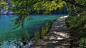 General 1920x1080 landscape nature walkway trees water lake ripples