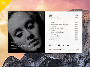 Adele Music Player