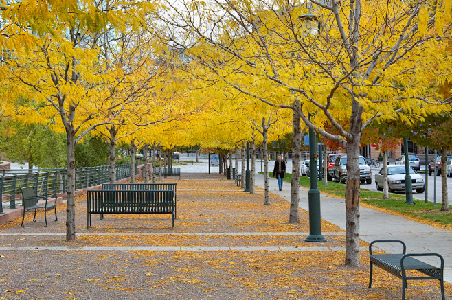 河滨广场 Riverfront Park...