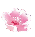 花朵