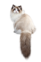 898fd6d9ee99555d29c03713d8fbf2542ed23fa94fbc3-VYWq4w