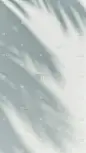 通用自然树叶柔和光影背景