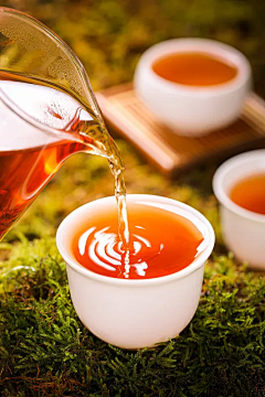 fiDFRVVu采集到茶