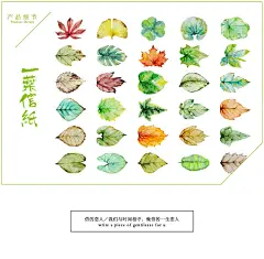 一叶信纸 唯美清新明信片文艺复古手绘异形树叶贺卡创意书签卡片-淘宝网