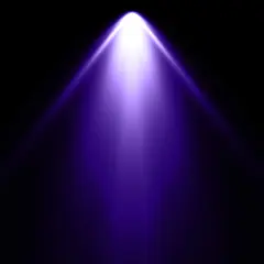 spotlight 100