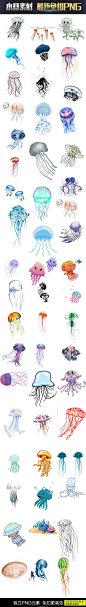 海底世界卡通水母动物图片海报素材