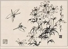 经典《白描花卉草虫集》王道中作品欣赏！
