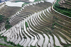 YangSLong采集到场景