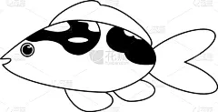 鱼类,海洋生命,黑白图片,卡通,分离着色,可爱的,白色,自然,条纹,海产