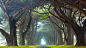 General 1920x1080 forest nature Ireland
