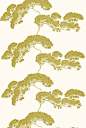 日本酸性绿的树从胆小怕事的狂野男孩乐队“#亚麻布