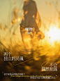 自然是编剧，两个独立的灵魂不会偶然相遇_1_闻物NatureRelic_来自小红书网页版