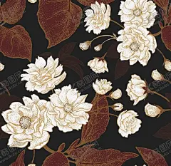 花朵矢量花朵手绘花朵 【酷图网】花纹,手绘,卡通,花朵,花,叶子,手绘花边,插画,花儿,手绘花纹,时尚花纹,现代,创意花边,欧式图案,装饰图案,花边,欧式图标,古典花纹,精美花纹,图案,装饰画,图纹,材质,婚庆,婚礼,邀请函,绿色植物,美丽花纹,绘画,园艺,油画