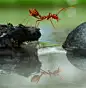 梦想和自由一样，都有代价，但都值得。