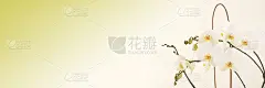 白色的兰花。兰花横幅。花的背景。白色兰花枝在浅米色背景与绿色梯度。花旗帜。网上花店