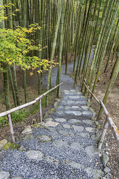 ~^o^~茳笾鳥采集到栈道