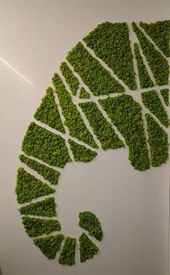五彩斑斓的小透明采集到A【企业】—绿色展厅