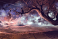 It made scars in the sky : When I woke up this morning, you were already far away.Mom told me you had come to said goodbye, but I was still sleeping. I felt sad all day, like I do every time you leave for work. I tracked all the passing planes, they made 
