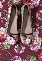 七夕情人节的浪漫 Gucci古驰GG Blooms天竺葵印花系列包鞋