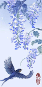 植物插画，花卉美图
