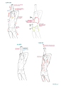 DVQknepVoAA4a7l.jpg (847×1200)