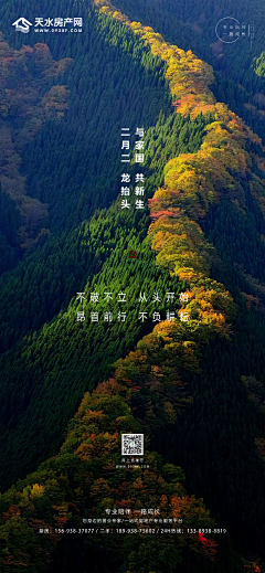 一恩木阿一采集到节气海报