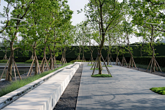 蓝蓝蓝蓝蓝蓝蓝伞采集到示范区 Landscape Demonstration plot