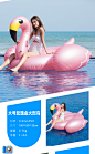 网红火烈鸟游泳圈女成人儿童水上坐骑充气玩具独角兽大号浮床浮排-tmall.com天猫