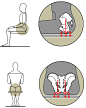 人体坐姿时的盆骨受力图，人体工程学。