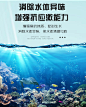 硝化细菌硝化活菌消化鱼缸用净水剂干粉养鱼用品水族水质净化胶囊-tmall.com天猫