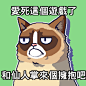 我在史上最差的不爽貓遊戲中#grumpycat http://grumpy.cat/GCWorstGameEver獲得了60