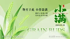 小满节气横版海报-源文件-采灵感-cailinggan.com