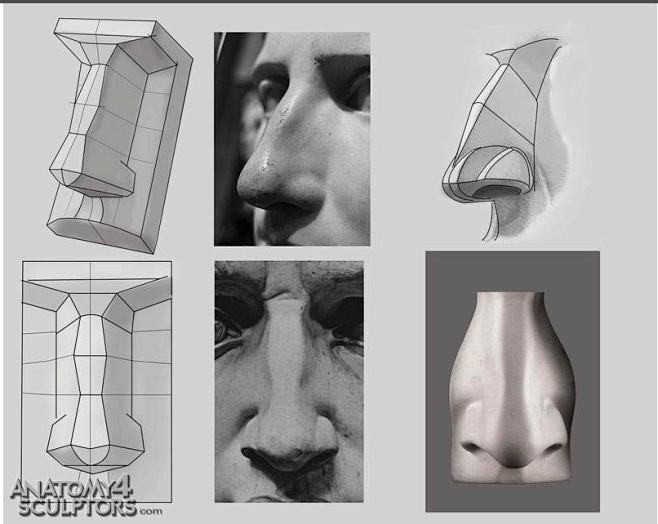 鼻子结构-62页