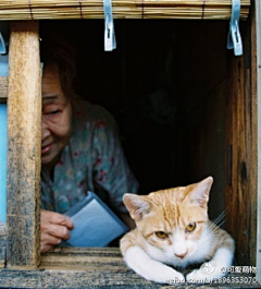 伊千伊采集到萌物