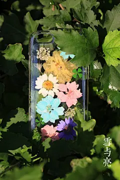 原创手工干花手机壳苹果手机壳系列4-5-6夏日缤纷闺蜜款01-淘宝网