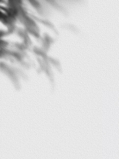 落雪的声音采集到光影