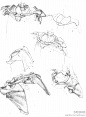 【早间分享】----肩胛骨与锁骨的关系详解--... 来自绘画学院 - 微博