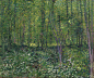 Trees and undergrowth (July 1887 - 1887)