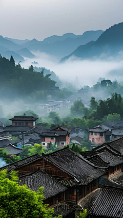 简单**繁忙采集到蜂场