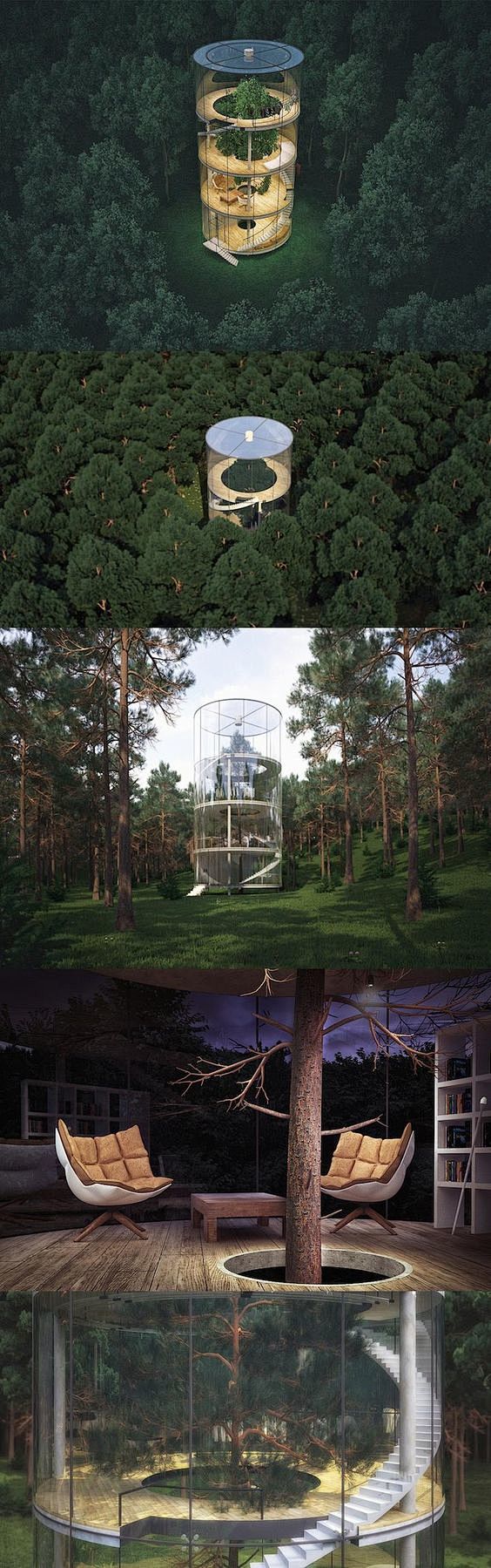 Tree    house: 