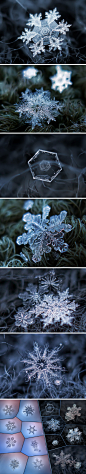 视觉志：近观雪花之美，每一片雪花，都是独一无二的自然杰作。来自俄罗斯摄影师 Alexey Kljatov 的显微摄影作品，作品站点>http://t.cn/zOeiJFw （组照）