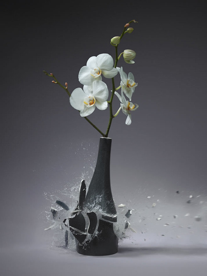 高速摄影：子弹穿过花瓶的绝美毁灭瞬间 :...