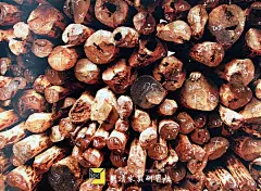 大约在2013年前后，血檀的进口达到了高潮，价格从最初的几千元上升到数万元，北京东坝木材市场每吨价从几万到30万左右，最高价达每吨98万元。



染料紫檀的市场名称一直处在不断变化之中，如血檀、非洲血檀、非洲小叶紫檀、斯里兰卡料、印度北部料、刚果(金)血檀、坦桑尼亚血檀、赞比亚血檀、赞比亚高山料、赞比亚平地料等等，变来变去，目的只有一个，求得高价。