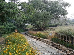 Apr___采集到美丽乡村