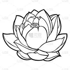 lotus flower silhouett 03